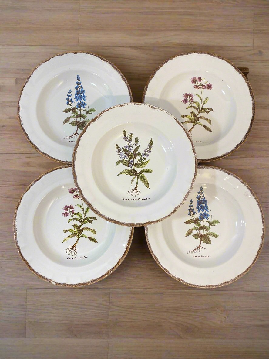 Set of 5 Vintage French Botanical Soup Plates by ADP Table – Provencal Flora