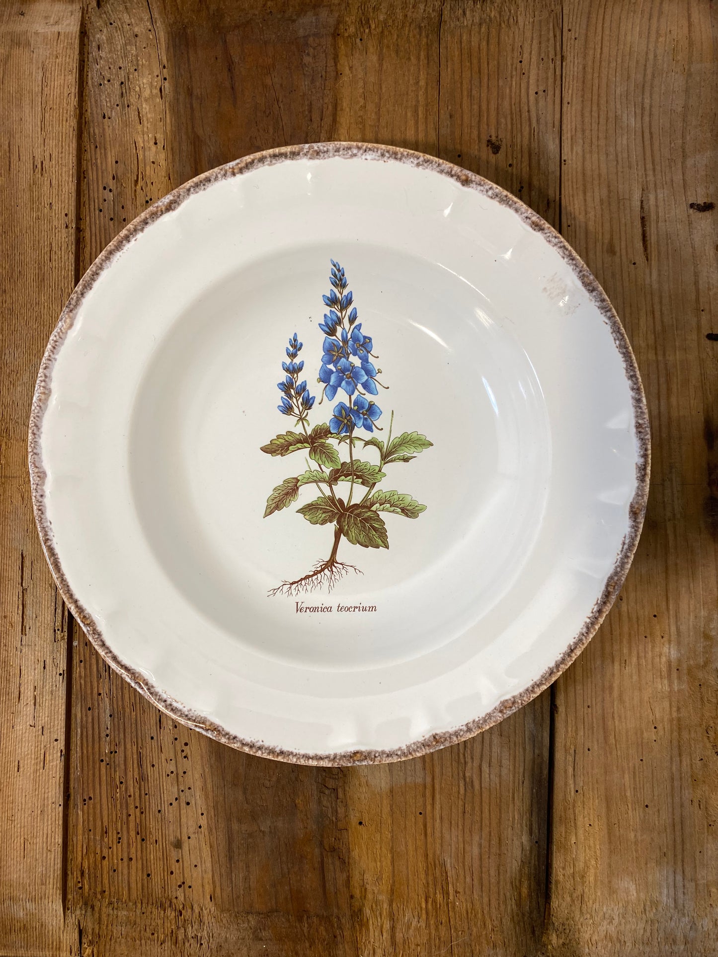 Set of 5 Vintage French Botanical Soup Plates by ADP Table – Provencal Flora