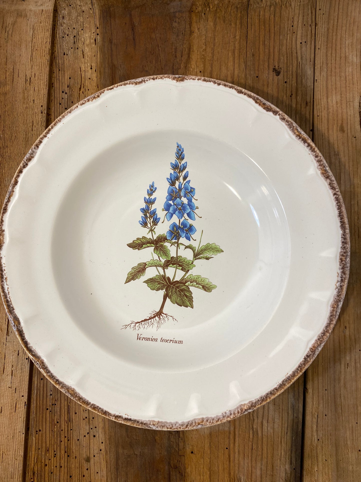 Set of 5 Vintage French Botanical Soup Plates by ADP Table – Provencal Flora