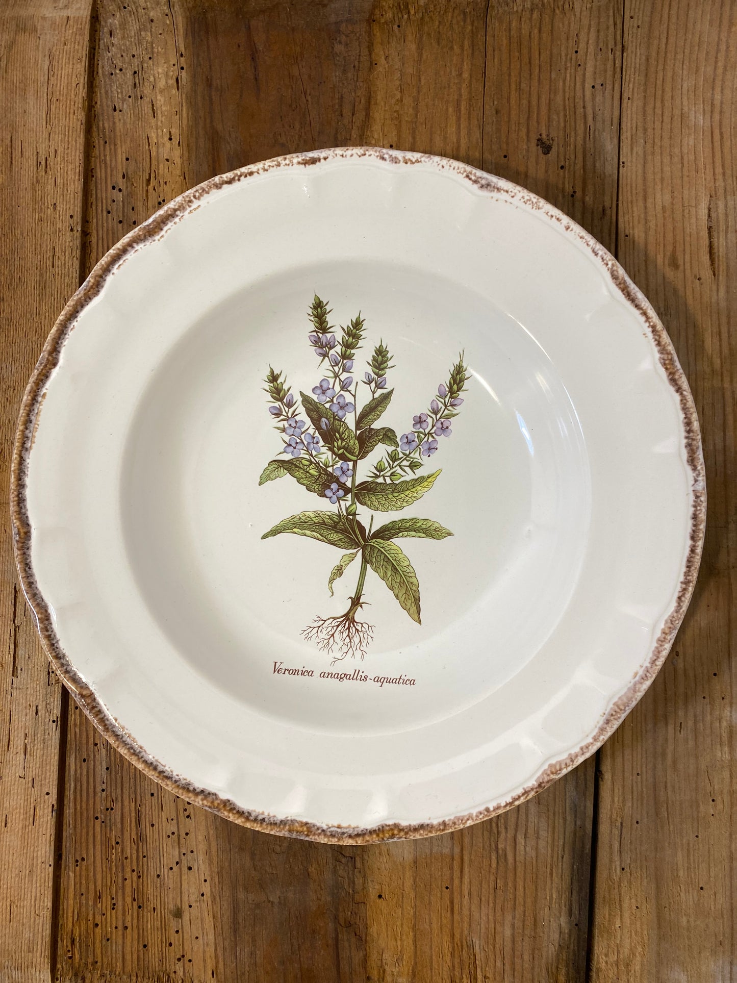 Set of 5 Vintage French Botanical Soup Plates by ADP Table – Provencal Flora