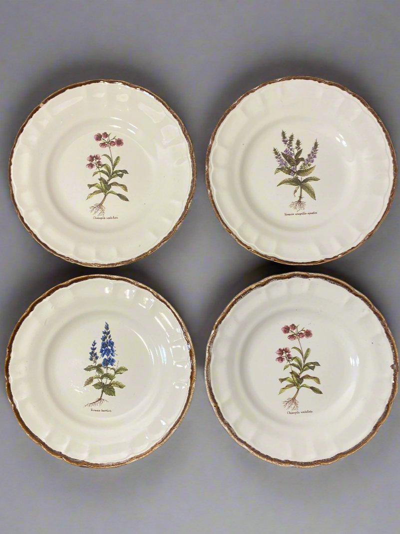 Set of 10 Vintage Varages Provence Botanical Plates