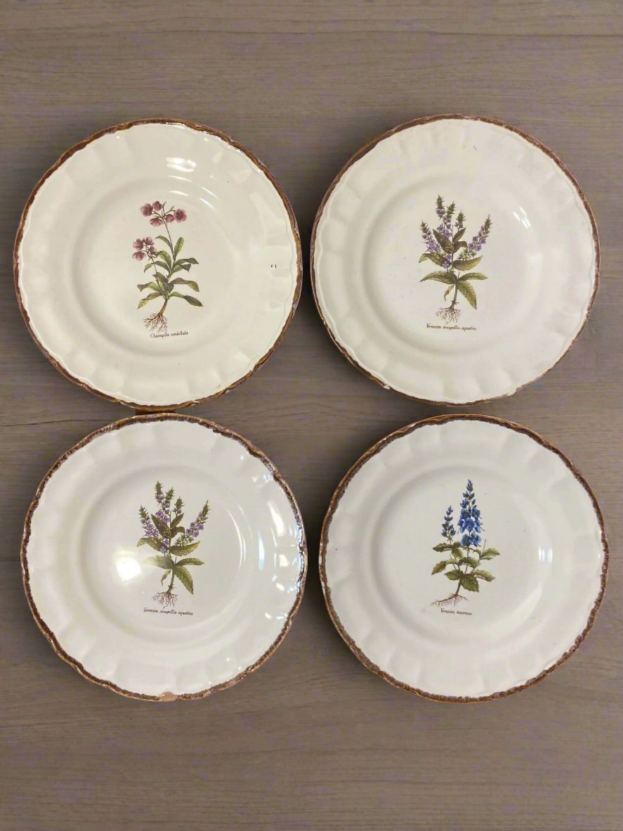 Set of 10 Vintage Varages Provence Botanical Plates