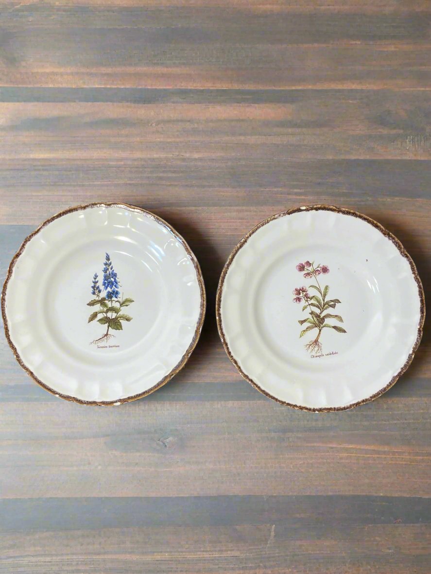 Set of 10 Vintage Varages Provence Botanical Plates