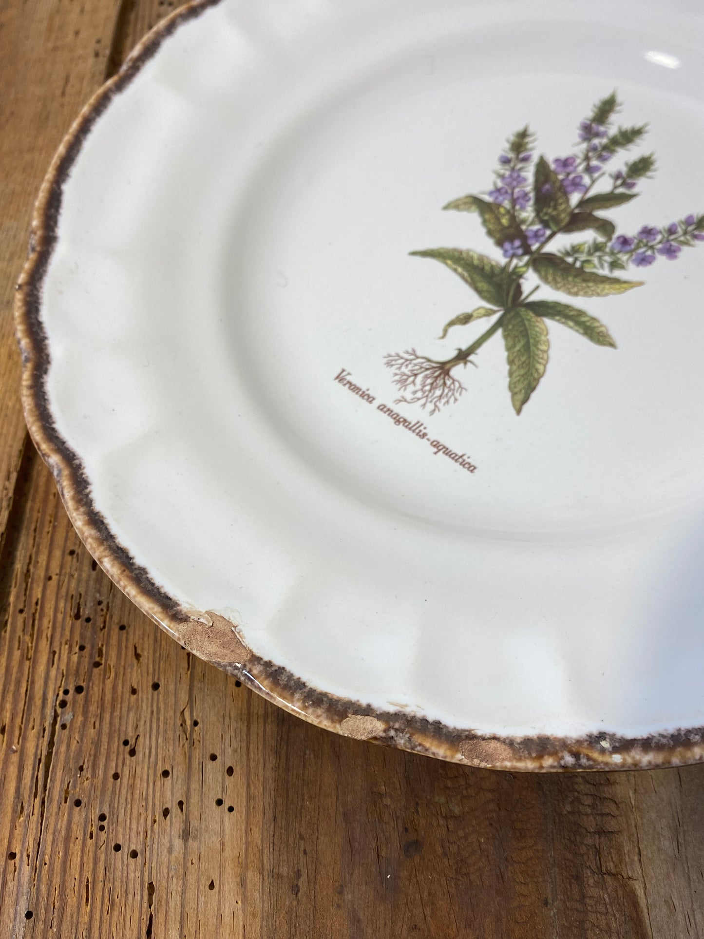 Set of 10 Vintage Varages Provence Botanical Plates