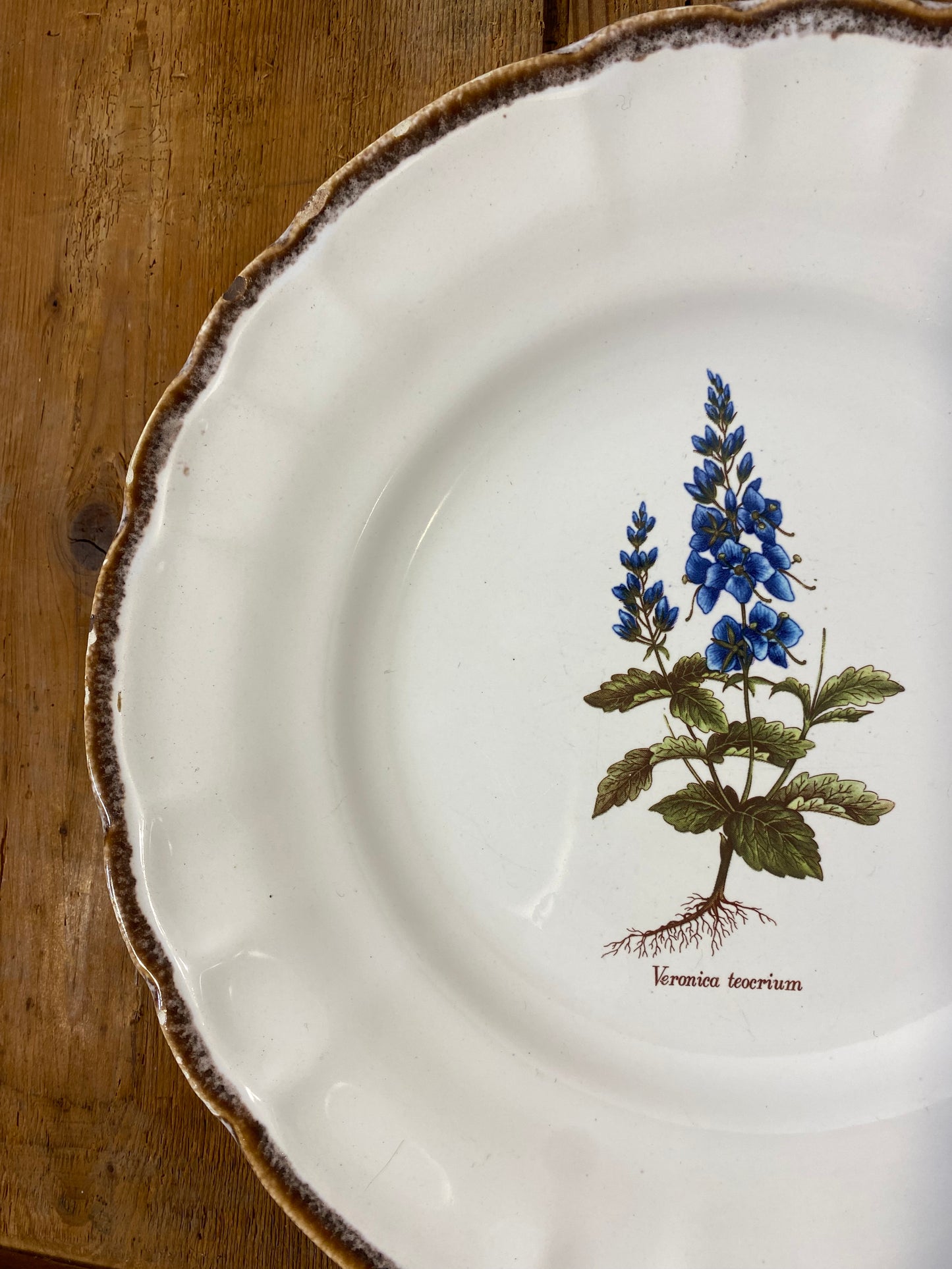 Set of 10 Vintage Varages Provence Botanical Plates