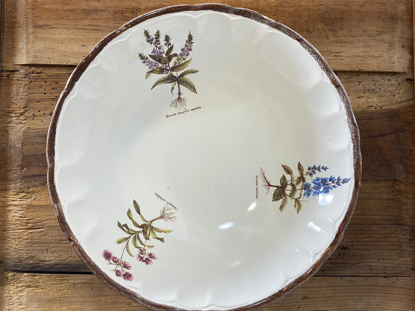 Vintage French Botanical Faïence Set – Soup Bowl & 3 Plates, Haute Provence