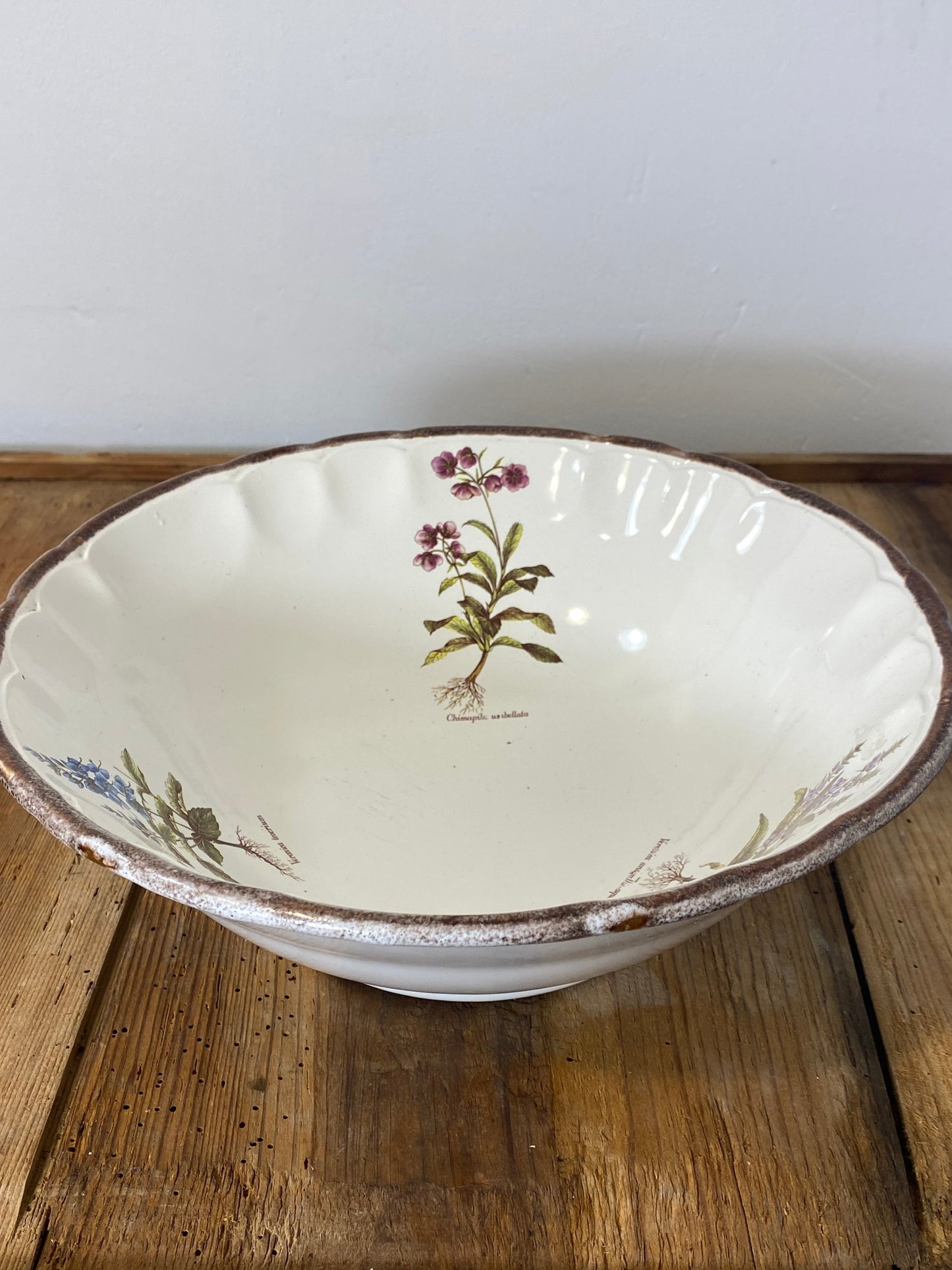 Vintage French Botanical Faïence Set – Soup Bowl & 3 Plates, Haute Provence