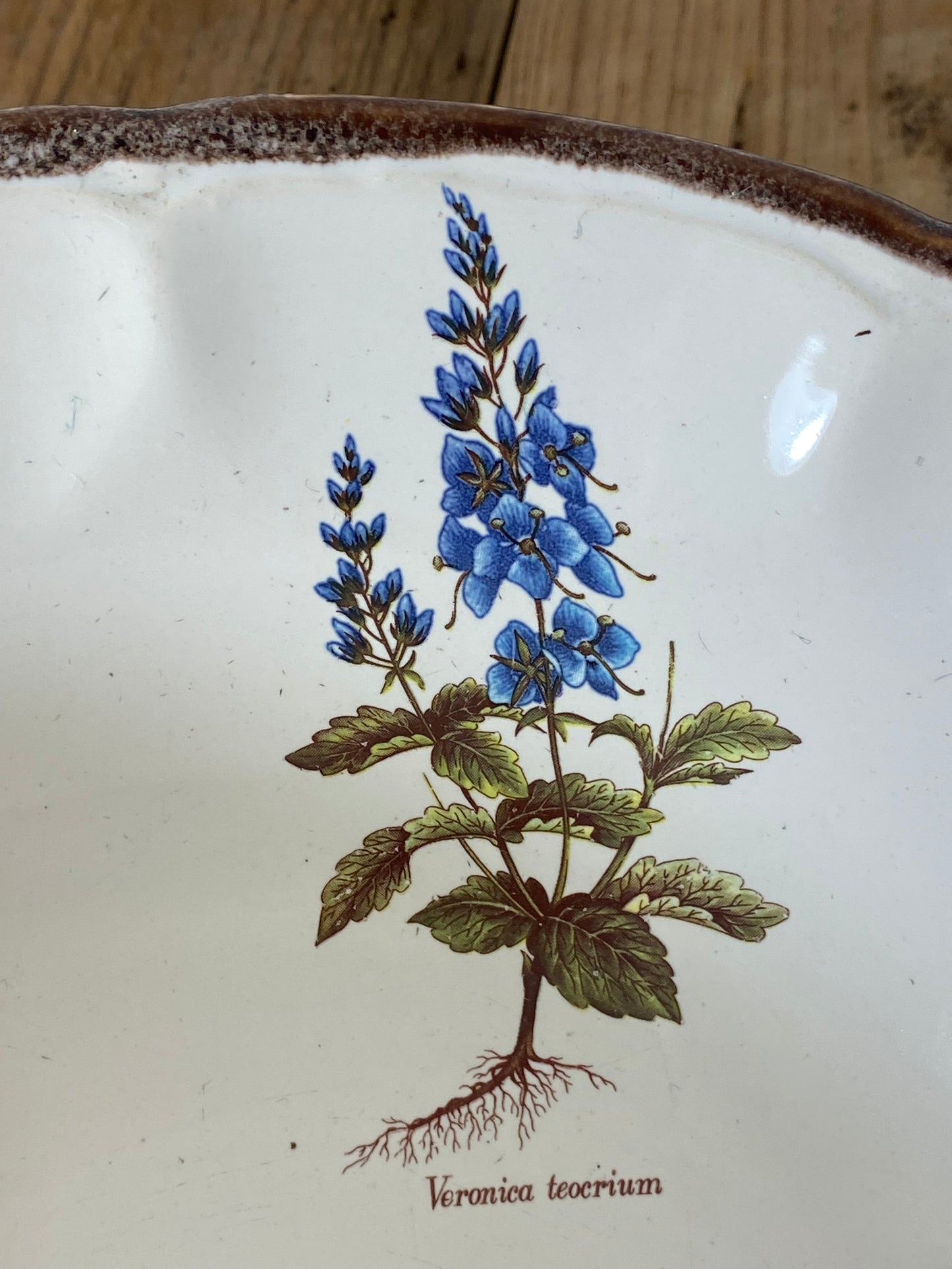 Vintage French Botanical Faïence Set – Soup Bowl & 3 Plates, Haute Provence