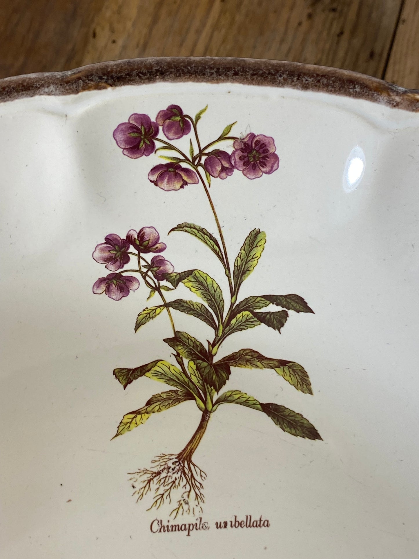Vintage French Botanical Faïence Set – Soup Bowl & 3 Plates, Haute Provence