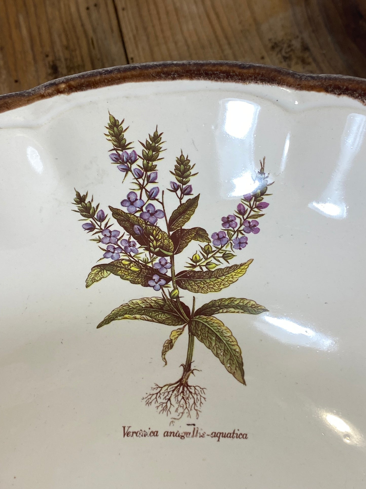 Vintage French Botanical Faïence Set – Soup Bowl & 3 Plates, Haute Provence