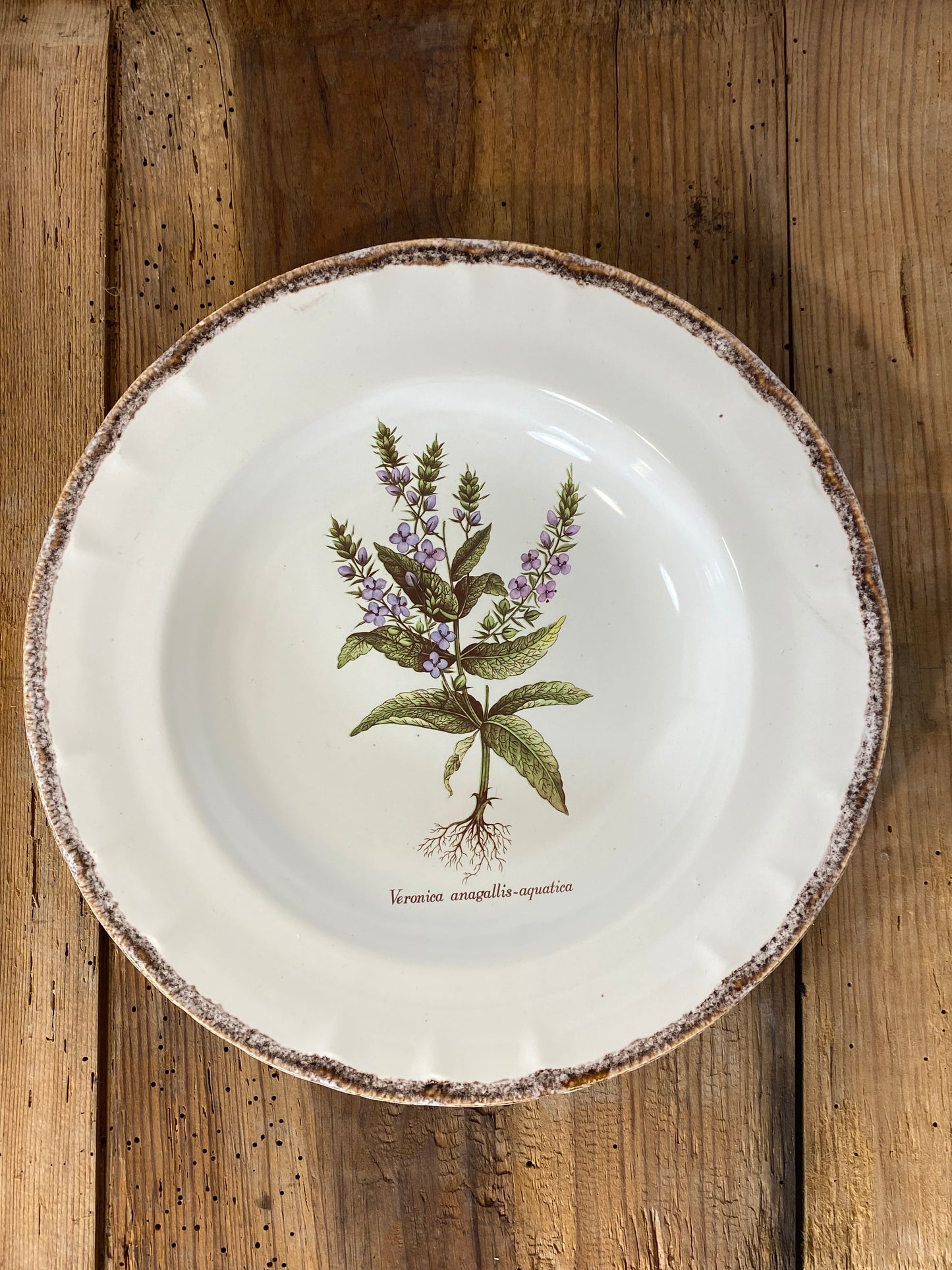 Vintage French Botanical Faïence Set – Soup Bowl & 3 Plates, Haute Provence