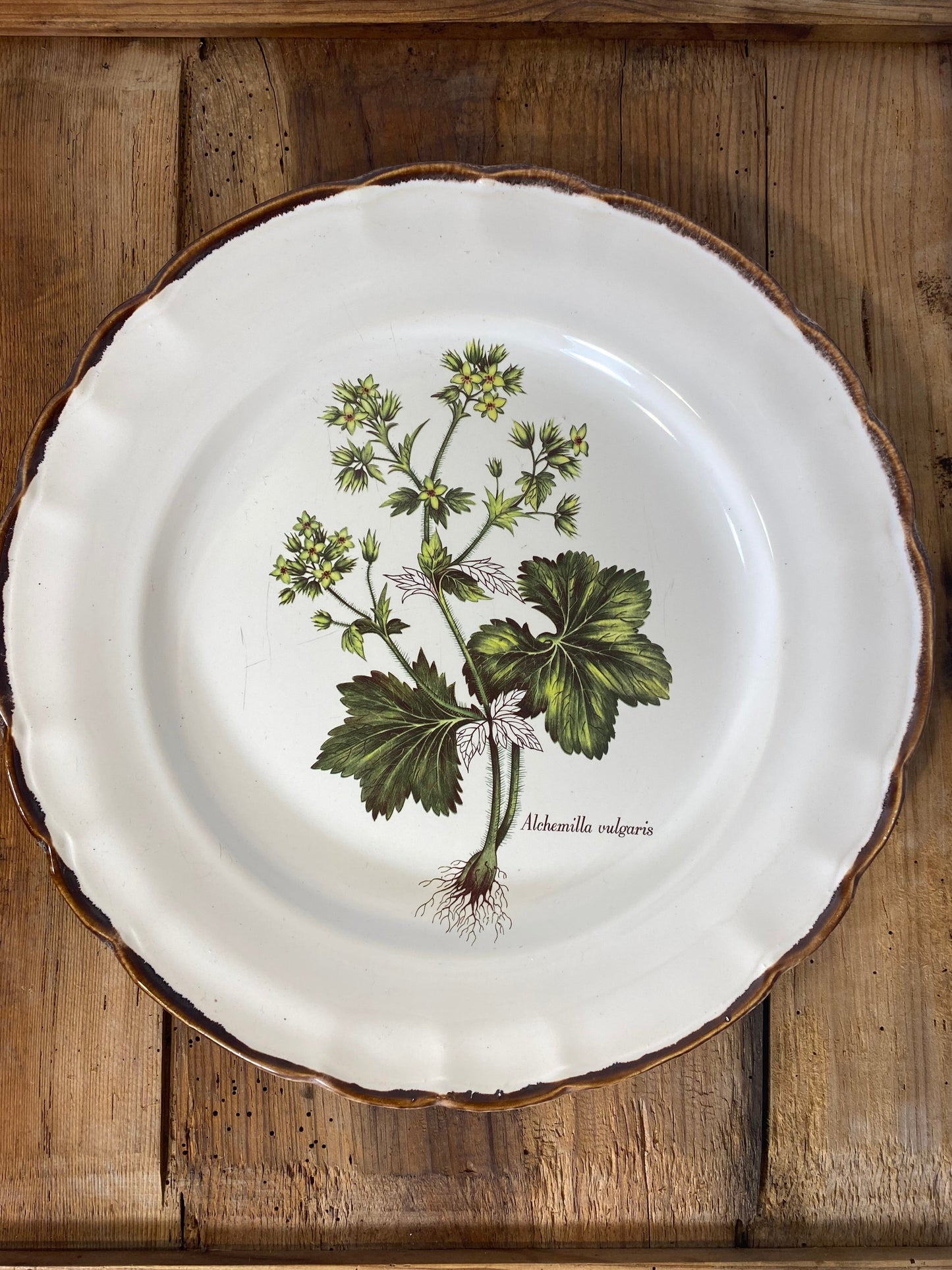 Vintage French Botanical Faïence Set – Platter, Large Plate & 3 Plates