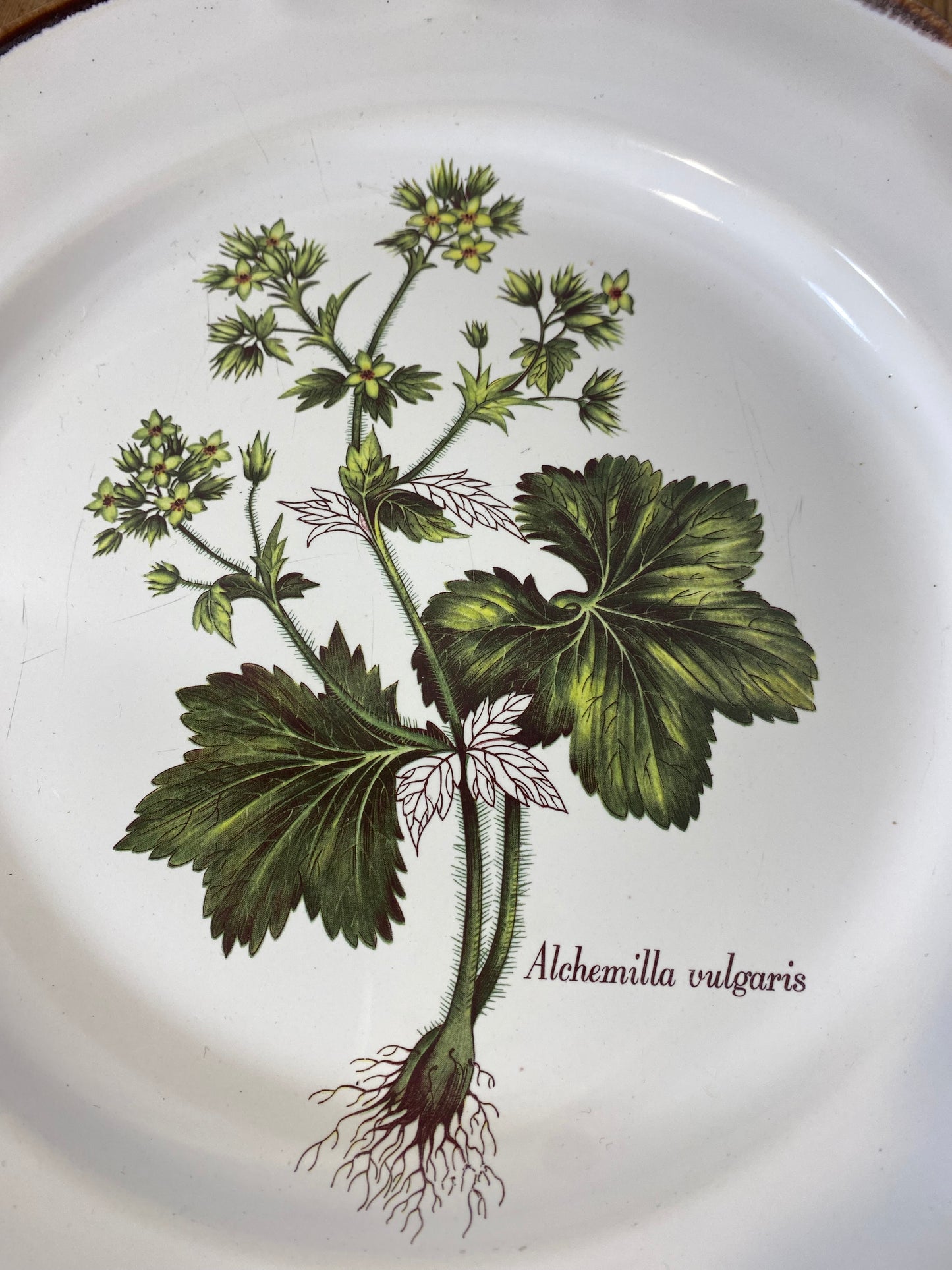 Vintage French Botanical Faïence Set – Platter, Large Plate & 3 Plates