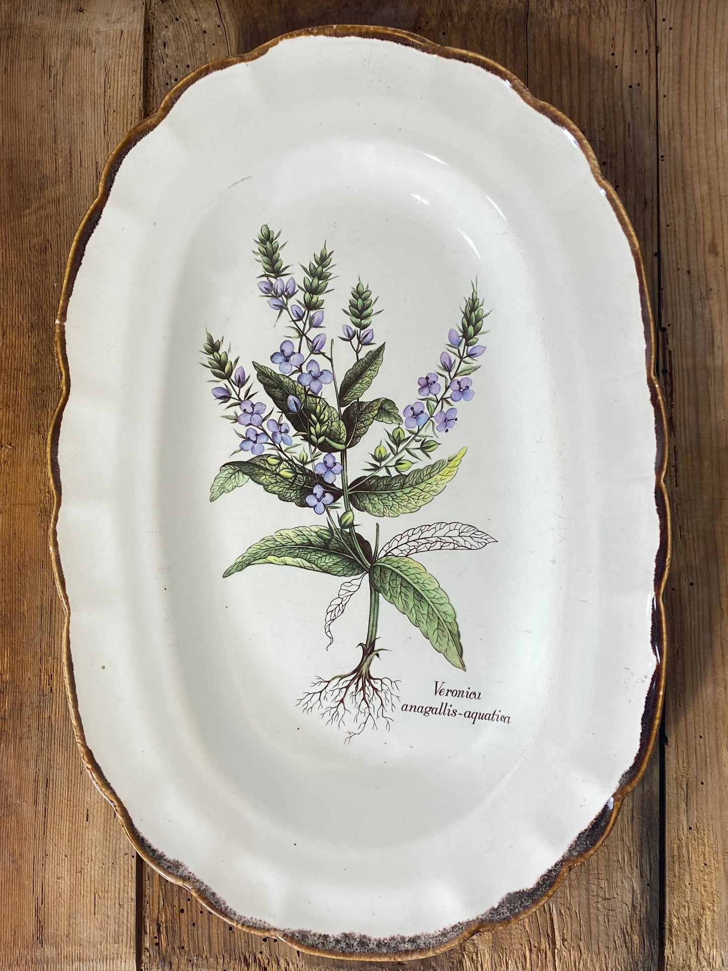 Vintage French Botanical Faïence Set – Platter, Large Plate & 3 Plates