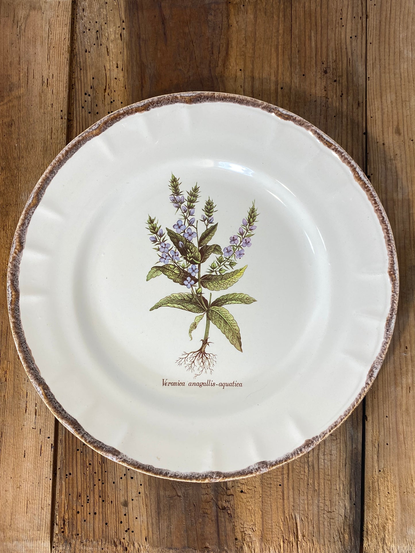 Vintage French Botanical Faïence Set – Platter, Large Plate & 3 Plates