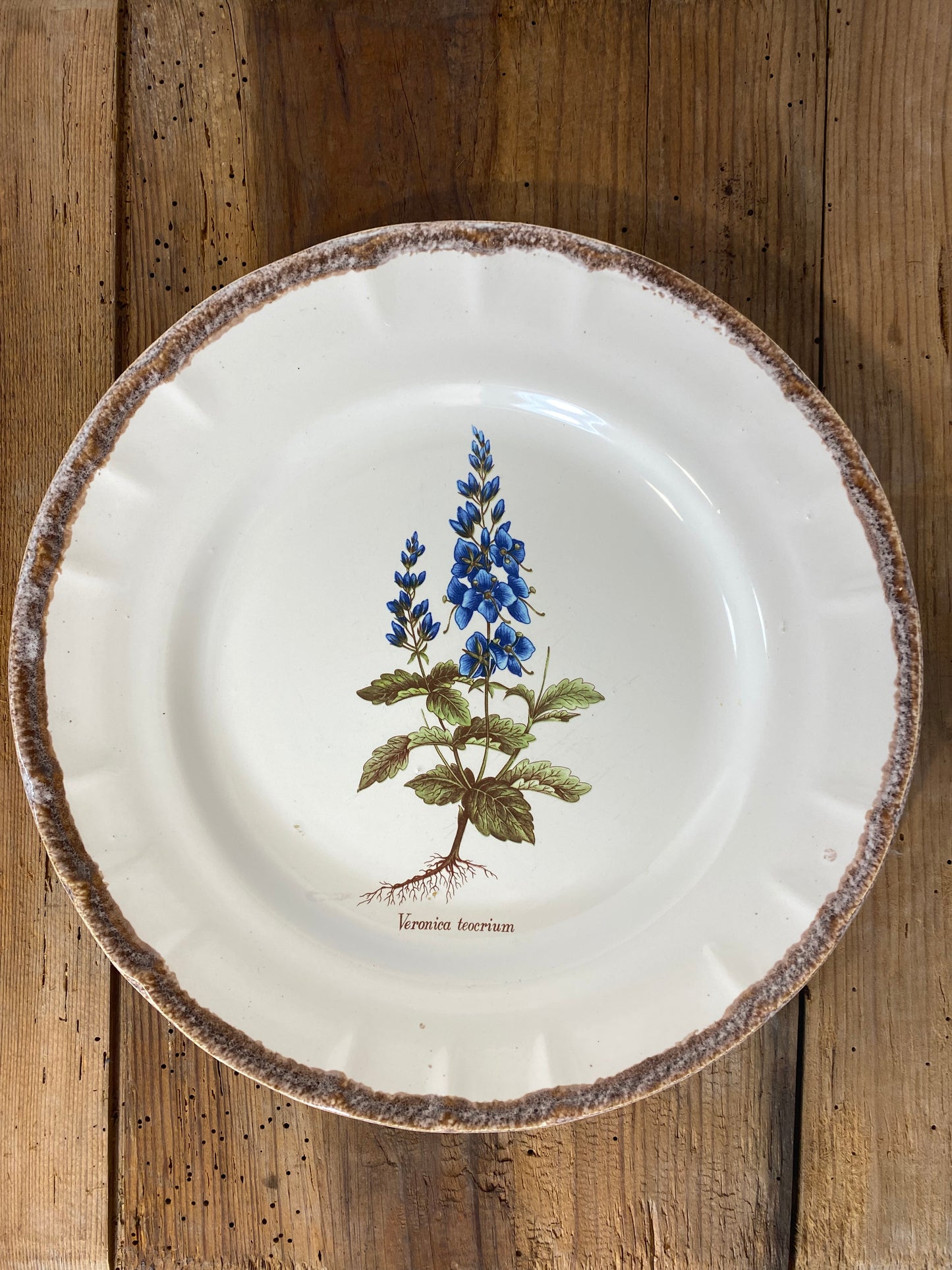 Vintage French Botanical Faïence Set – Platter, Large Plate & 3 Plates
