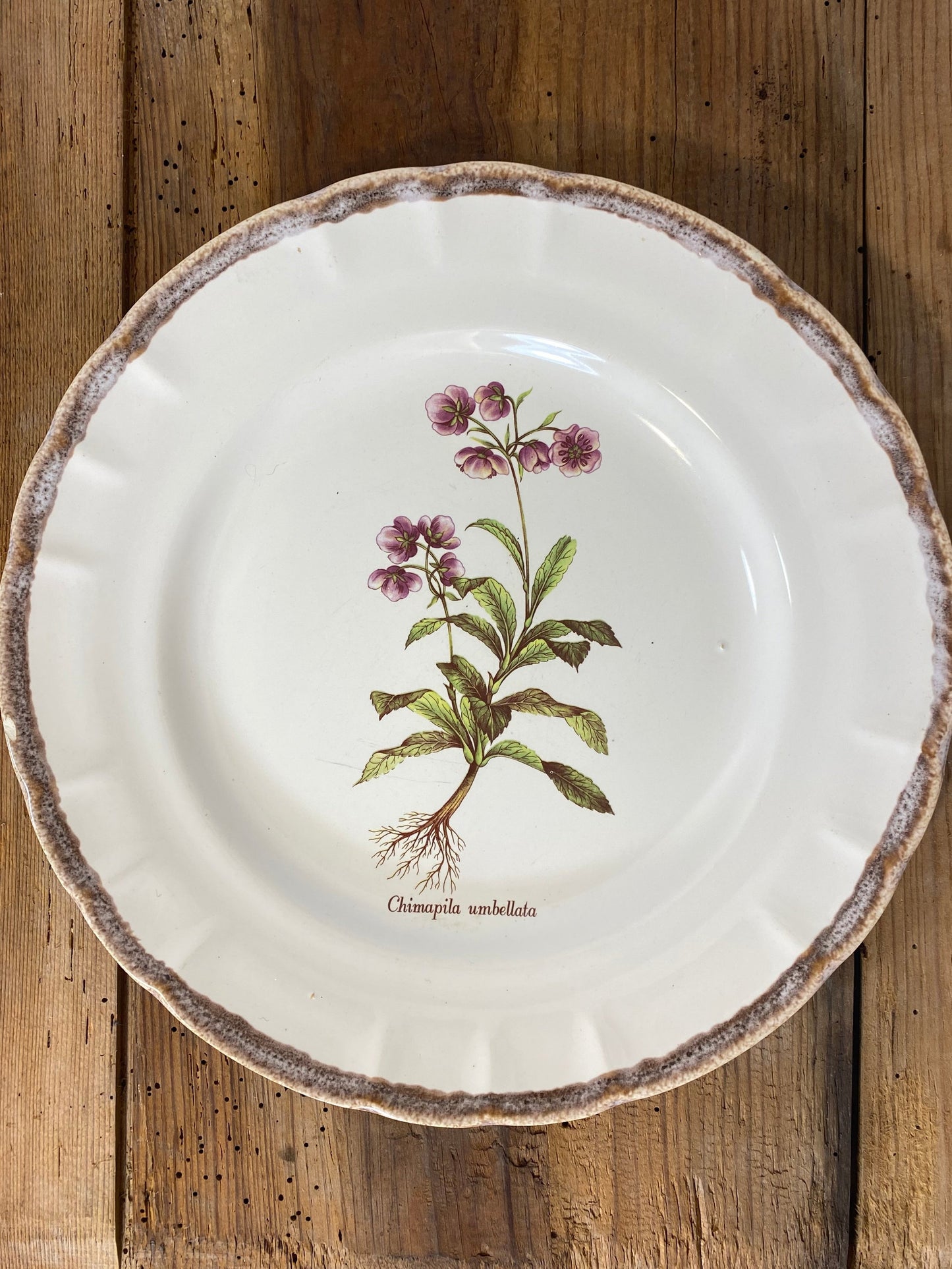 Vintage French Botanical Faïence Set – Platter, Large Plate & 3 Plates