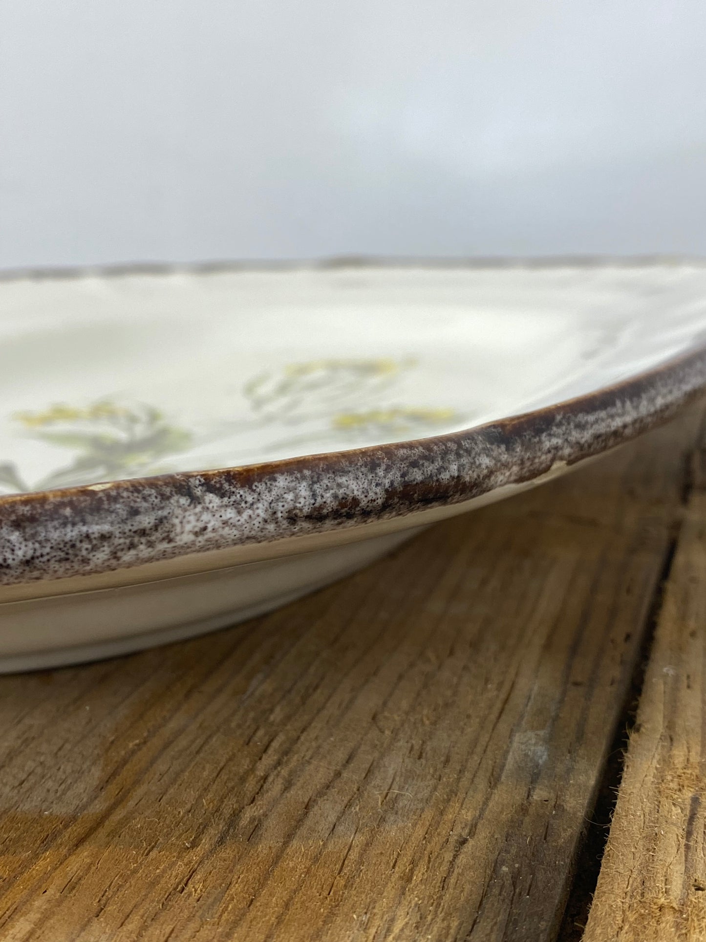 Vintage French Botanical Faïence Platter – "Diplotaxis muralis"