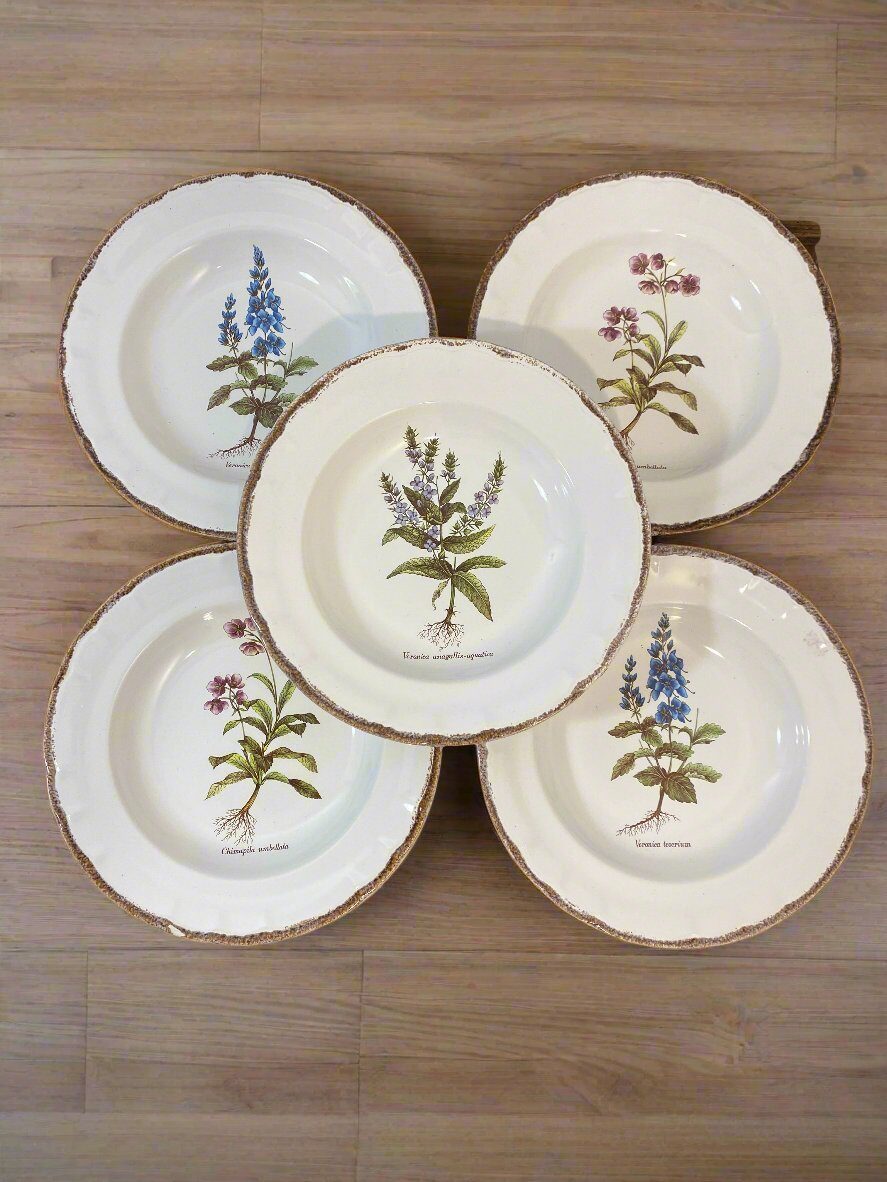 Set of 5 Vintage French Botanical Soup Plates by ADP Table – Provencal Flora — photo 4
