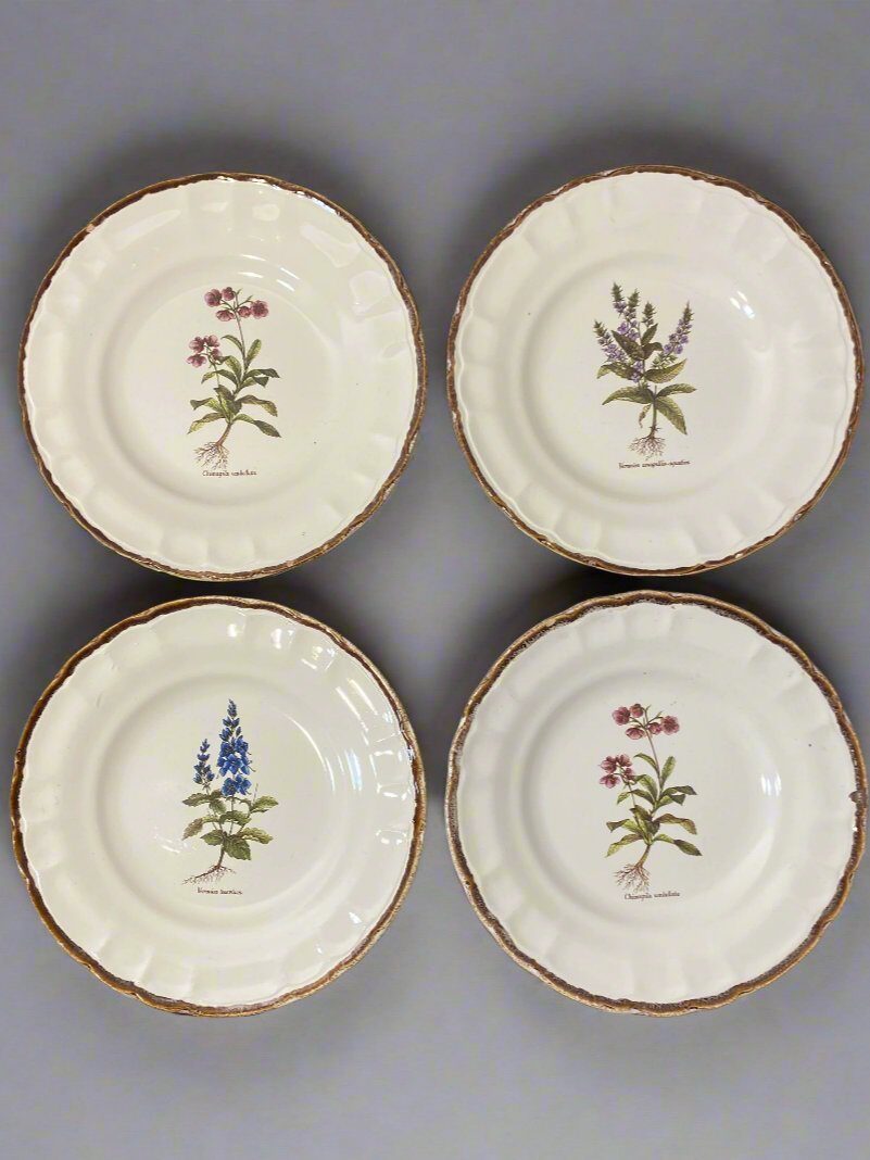 Set of 10 Vintage Varages Provence Botanical Plates — photo 2