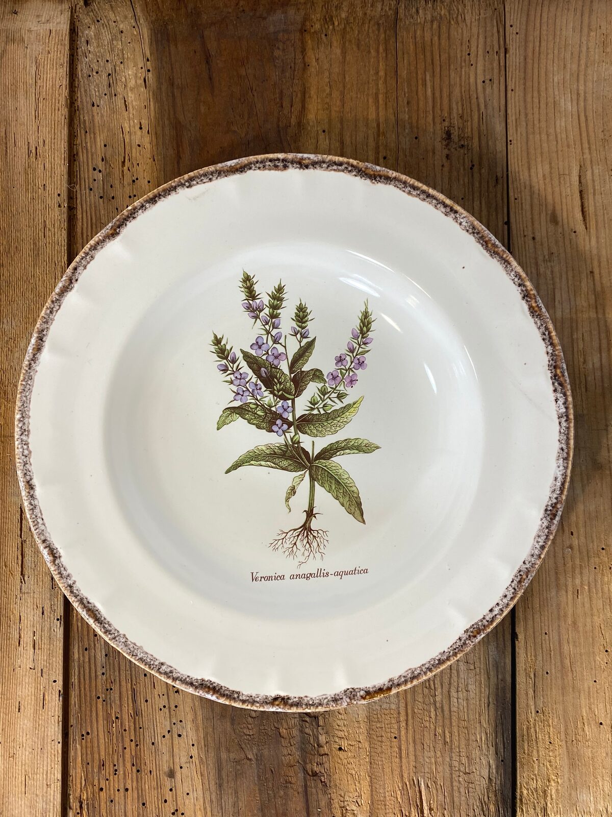 Vintage French Botanical Faïence Set – Soup Bowl & 3 Plates, Haute Provence — photo 7