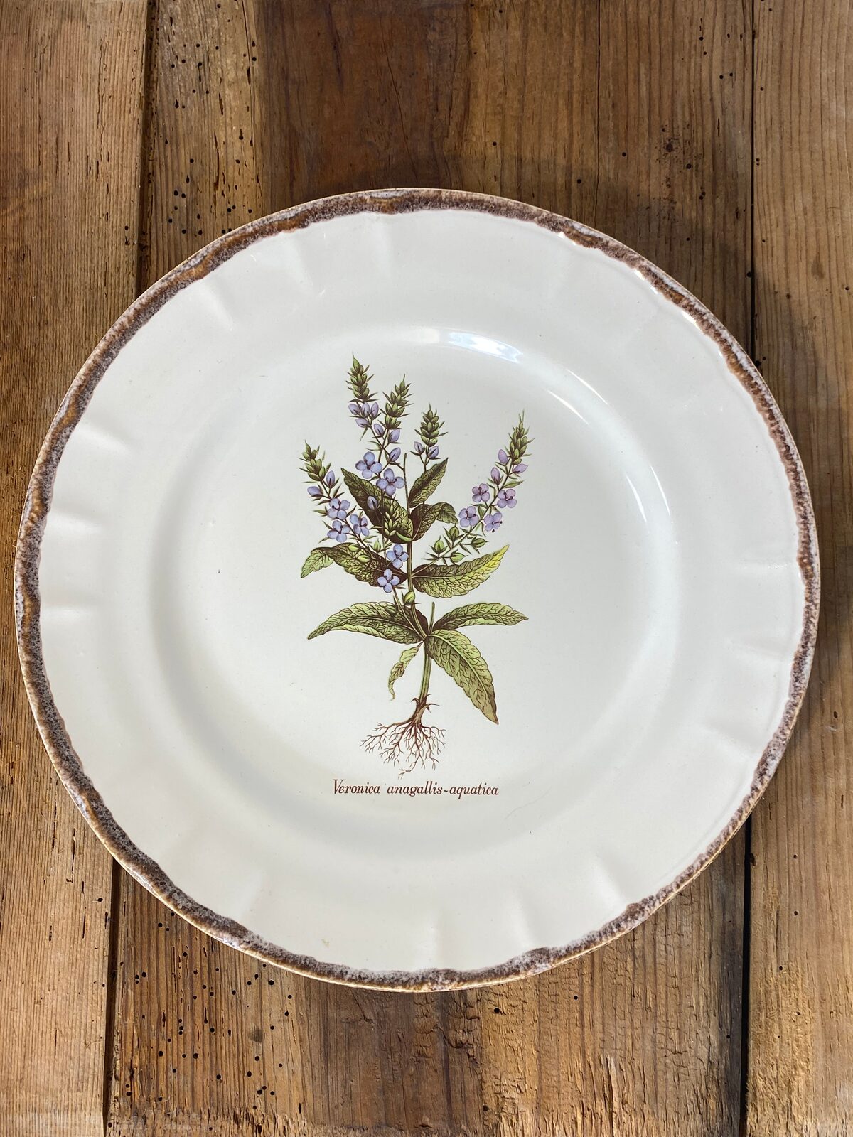Vintage French Botanical Faïence Set – Platter, Large Plate & 3 Plates — photo 7